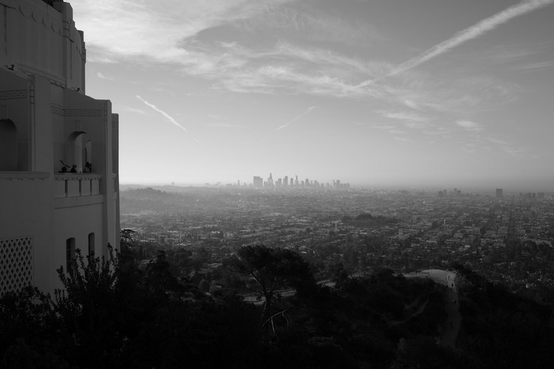 The Long View