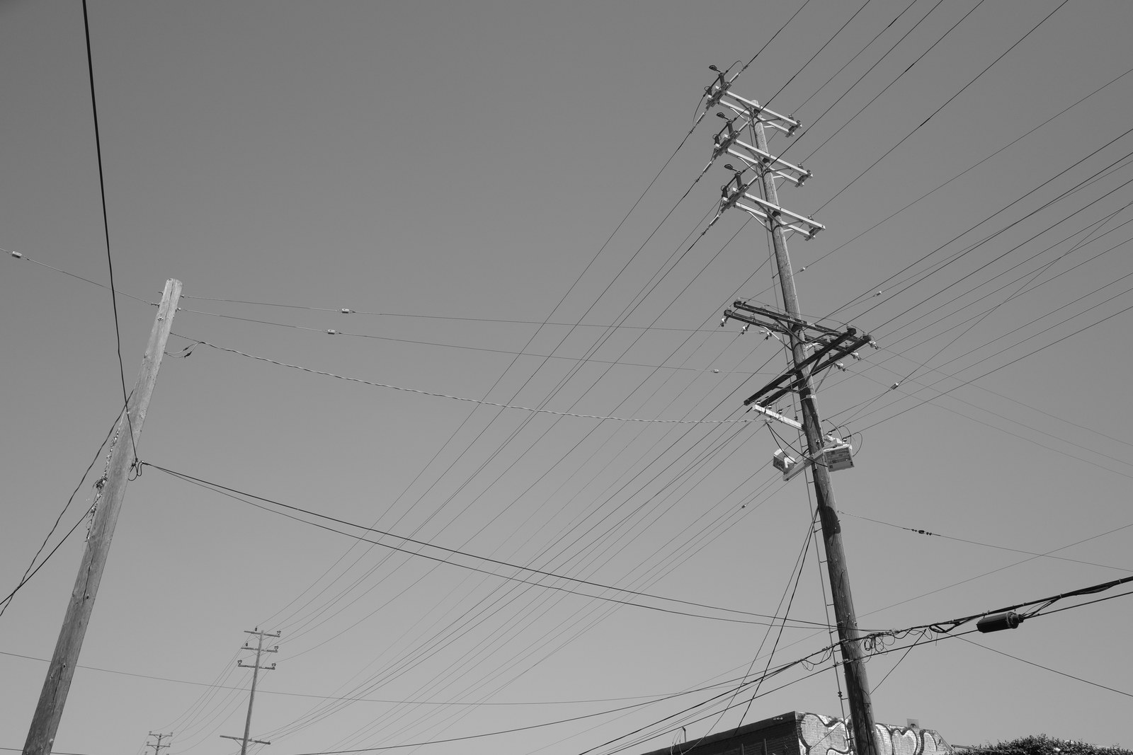 the lines.